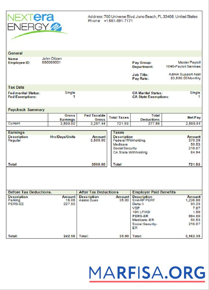 Realistic USA NextEra Energy electric company pay stub template